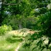 Tour 6: Naturpark Usedom